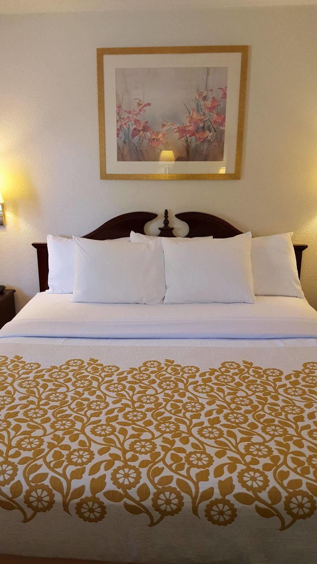 Econo Cherry Point Lodge Havelock